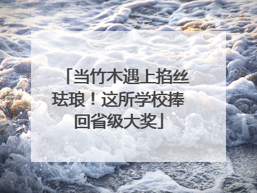 当竹木遇上掐丝珐琅！这所学校捧回省级大奖