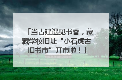 当古建遇见书香，蒙藏学校旧址“小石虎古旧书市”开市啦！