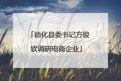德化县委书记方俊钦调研电商企业