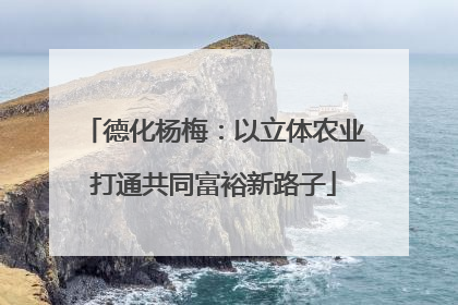 德化杨梅：以立体农业打通共同富裕新路子