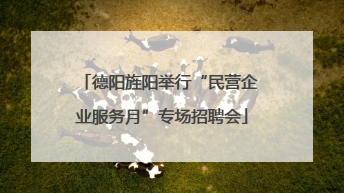 德阳旌阳举行“民营企业服务月”专场招聘会