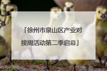 徐州市泉山区产业对接周活动第二季启幕