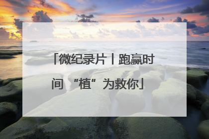 微纪录片丨跑赢时间 “植”为救你