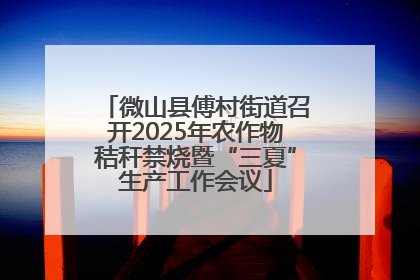 微山县傅村街道召开2025年农作物秸秆禁烧暨“三夏”生产工作会议