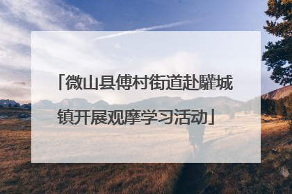 微山县傅村街道赴驩城镇开展观摩学习活动