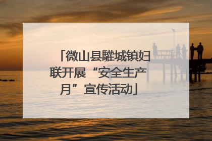 微山县驩城镇妇联开展“安全生产月”宣传活动