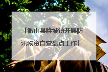 微山县驩城镇开展防汛物资自查盘点工作