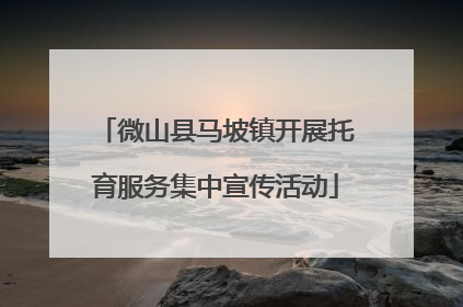微山县马坡镇开展托育服务集中宣传活动