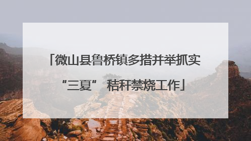 微山县鲁桥镇多措并举抓实 “三夏” 秸秆禁烧工作