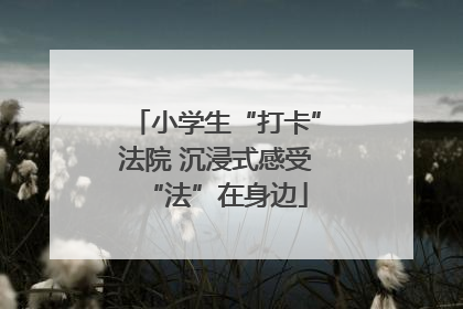 小学生“打卡”法院 沉浸式感受“法”在身边
