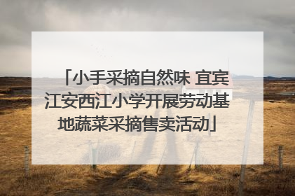 小手采摘自然味 宜宾江安西江小学开展劳动基地蔬菜采摘售卖活动