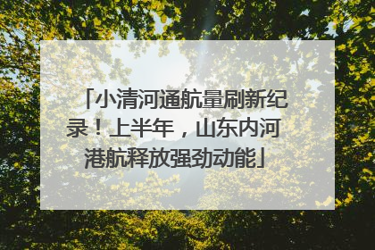 小清河通航量刷新纪录！上半年，山东内河港航释放强劲动能