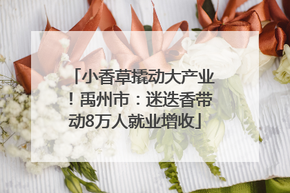 小香草撬动大产业！禹州市：迷迭香带动8万人就业增收