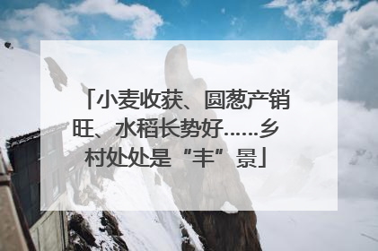 小麦收获、圆葱产销旺、水稻长势好……乡村处处是“丰”景