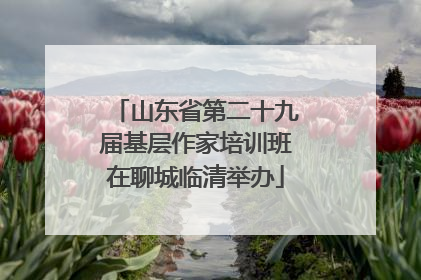 山东省第二十九届基层作家培训班在聊城临清举办
