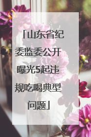 山东省纪委监委公开曝光5起违规吃喝典型问题