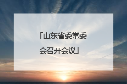 山东省委常委会召开会议