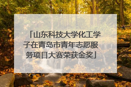 山东科技大学化工学子在青岛市青年志愿服务项目大赛荣获金奖