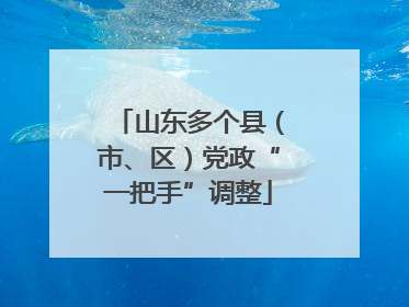 山东多个县（市、区）党政“一把手”调整