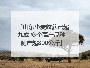 山东小麦收获已超九成 多个高产品种测产超800公斤