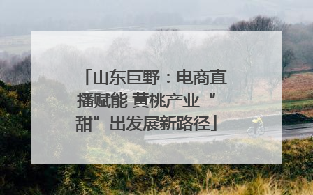 山东巨野：电商直播赋能 黄桃产业“甜”出发展新路径