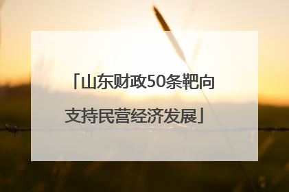 山东财政50条靶向支持民营经济发展