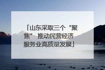 山东采取三个“聚焦” 推动民营经济服务业高质量发展