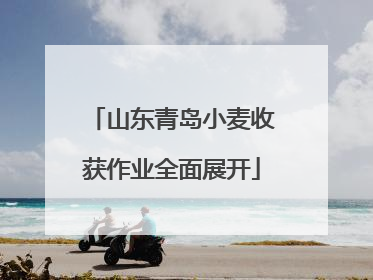山东青岛小麦收获作业全面展开