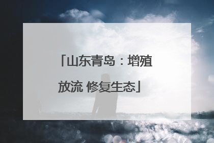 山东青岛：增殖放流 修复生态