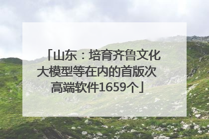 山东：培育齐鲁文化大模型等在内的首版次高端软件1659个