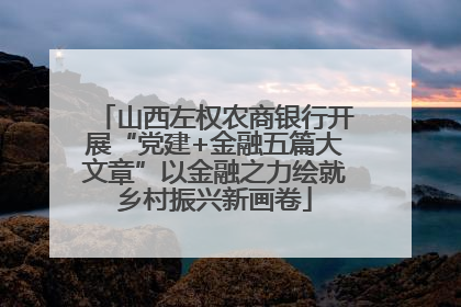 山西左权农商银行开展“党建+金融五篇大文章”以金融之力绘就乡村振兴新画卷