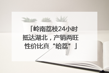 岭南荔枝24小时抵达湖北，产销两旺性价比真“给荔”