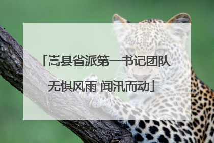 嵩县省派第一书记团队 无惧风雨 闻汛而动