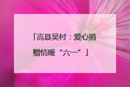 嵩县吴村：爱心捐赠情暖“六一”