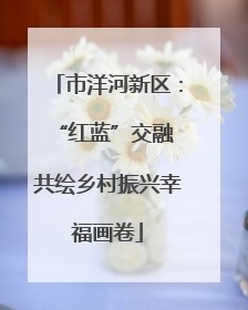 市洋河新区：“红蓝”交融 共绘乡村振兴幸福画卷