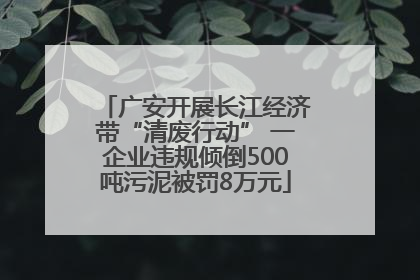 广安开展长江经济带“清废行动” 一企业违规倾倒500吨污泥被罚8万元