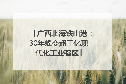 广西北海铁山港：30年蝶变超千亿现代化工业强区