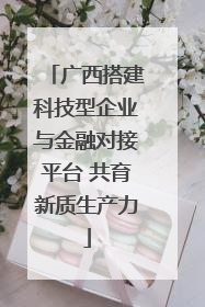 广西搭建科技型企业与金融对接平台 共育新质生产力