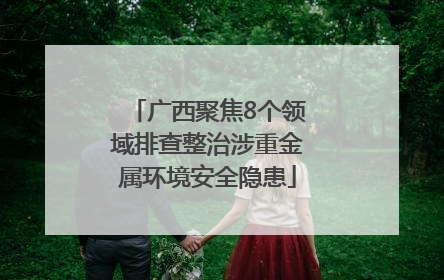 广西聚焦8个领域排查整治涉重金属环境安全隐患