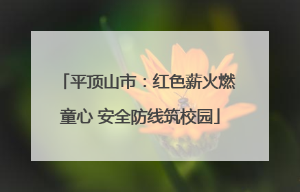 平顶山市：红色薪火燃童心 安全防线筑校园