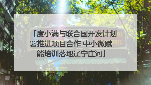 度小满与联合国开发计划署推进项目合作 中小微赋能培训落地辽宁庄河