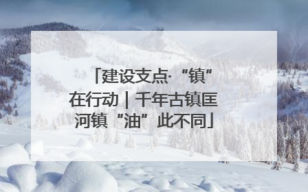 建设支点·“镇”在行动｜千年古镇匡河镇“油”此不同