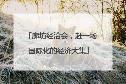 廊坊经洽会，赶一场国际化的经济大集