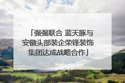 强强联合 蓝天豚与安徽头部装企荣锋装饰集团达成战略合作