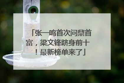 张一鸣首次问鼎首富，梁文锋跻身前十！最新榜单来了