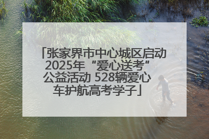 张家界市中心城区启动2025年“爱心送考”公益活动 528辆爱心车护航高考学子