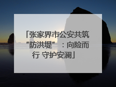 张家界市公安共筑“防洪堤”：向险而行 守护安澜