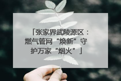 张家界武陵源区：燃气管网“焕新”守护万家“烟火”