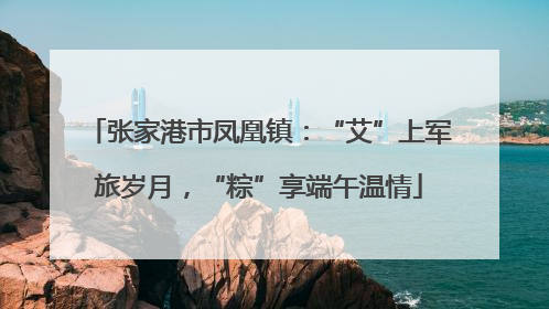 张家港市凤凰镇：“艾”上军旅岁月，“粽”享端午温情