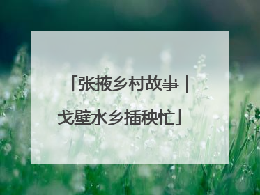 张掖乡村故事｜戈壁水乡插秧忙